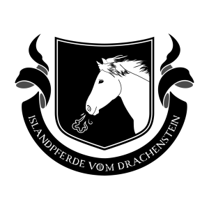 Islandpferde vom Drachenstein